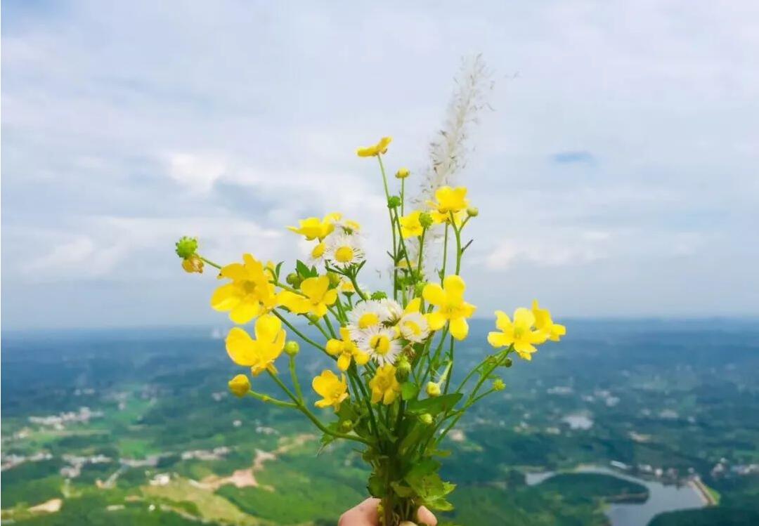 等春来，我们好好拥抱！致敬最美